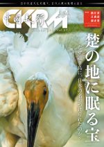 中國紀行 CKRM Vol.37