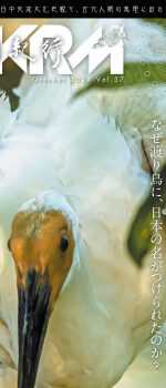 中國紀行 CKRM Vol.37